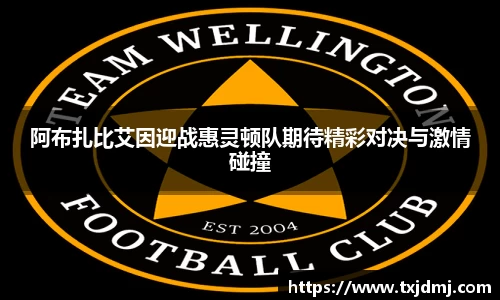 阿布扎比艾因迎战惠灵顿队期待精彩对决与激情碰撞